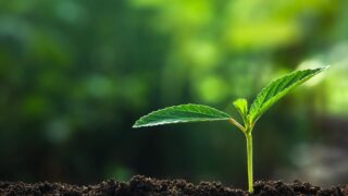 ECサイトリニューアル